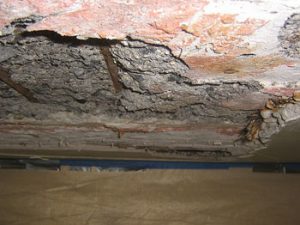 unity_temple_ceiling-south-9